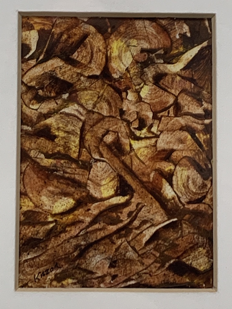 Wood Shavings by Edward Kazor